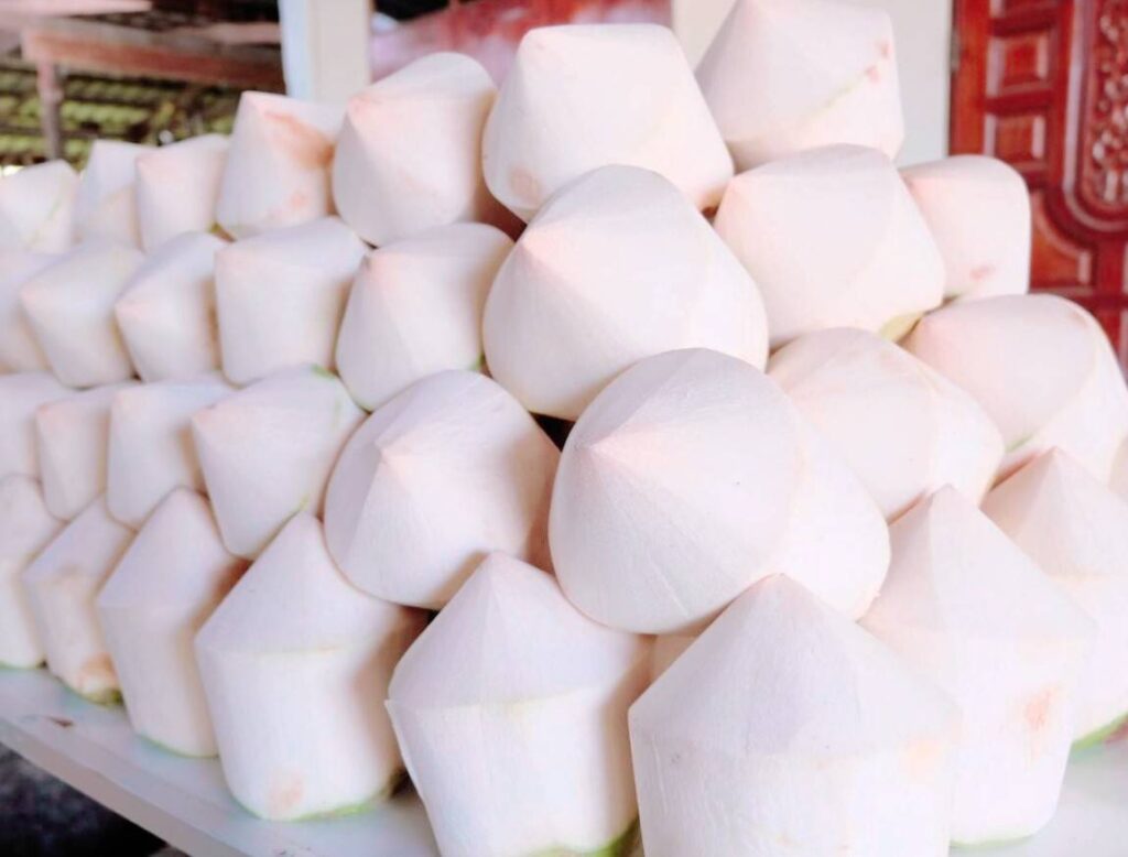 Banphaeo Aromatic Thai Coconut : A Unique Agricultural Gem Banphaeo Aromatic Thai Coconut : A Unique Agricultural Gem